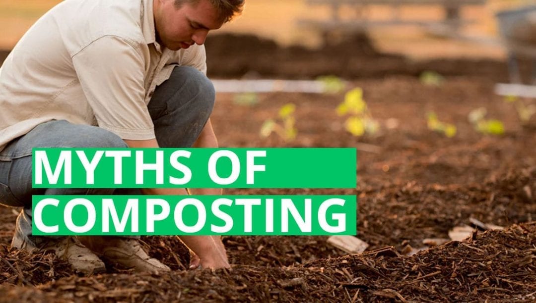 miti del compostaggio, miti del compostaggio, giardinaggio